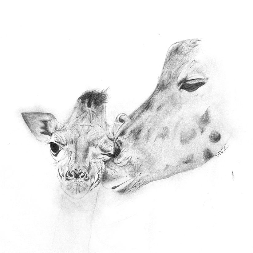 Ausgefallene Geschenkidee ein Bild handgezeichnet oder gemalt