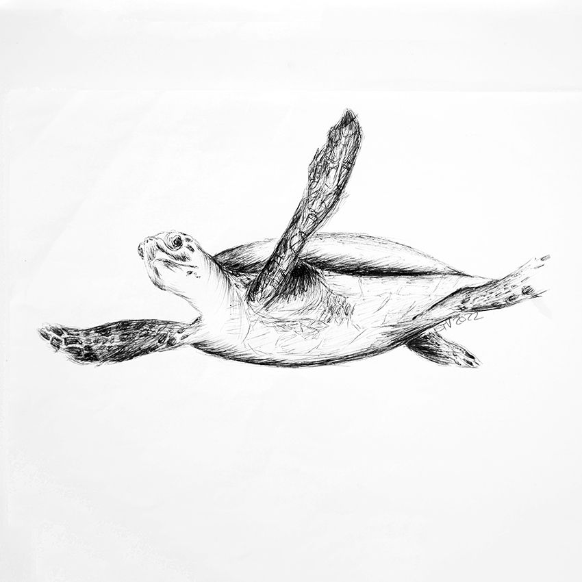 Zeichnung von deinem Lieblingstier