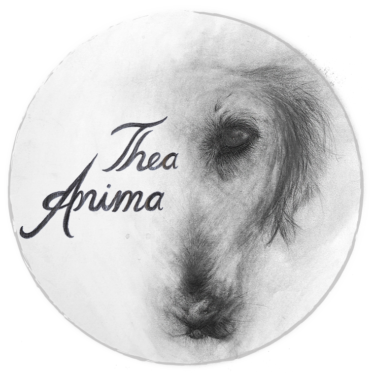 Logo Thea Anima Logo Thea Anima La Gomera