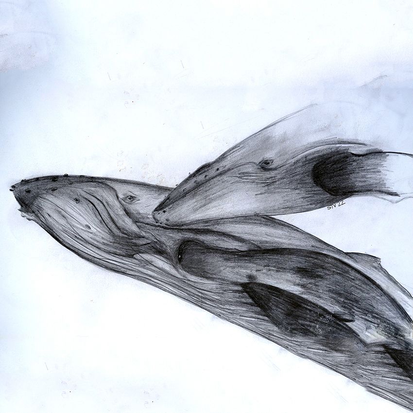 Zeichnung von deinem Lieblingsmotiv