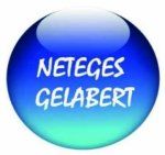 NETEGES-GELABERT-S-L-Logo