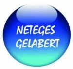 NETEGES-GELABERT-S-L-Logo NETEGES-GELABERT-S-L-Logo
