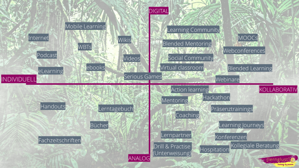 Lerndschungel Lerndschungel