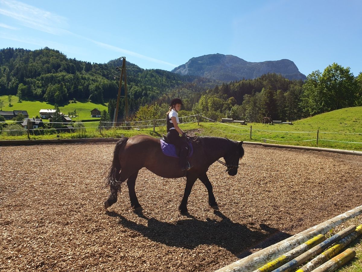 Reiten