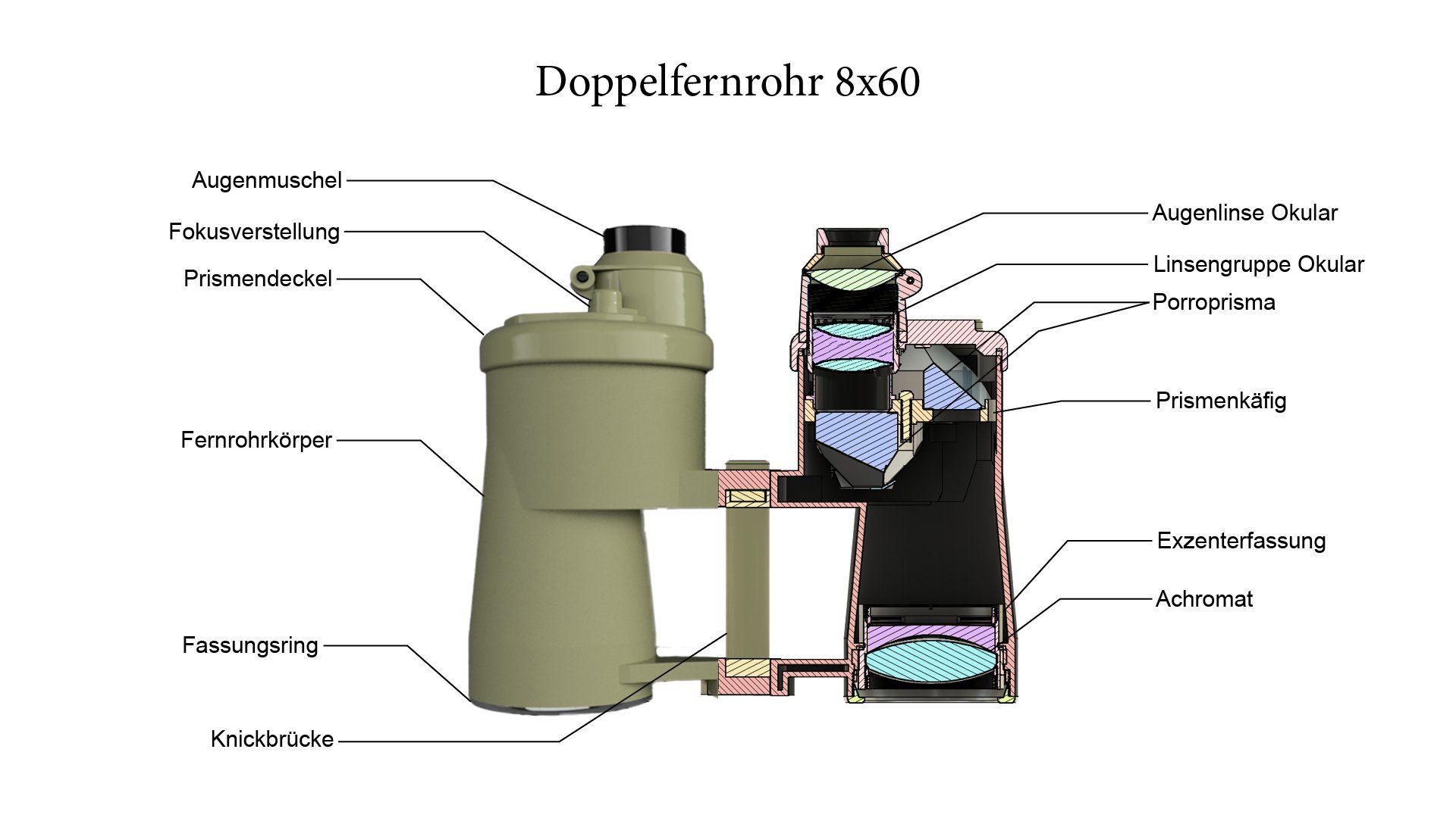 Schnittbildzeichnung von einem 8x60 Fernglas