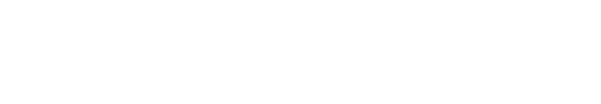 Scaneca 3D Körperanalyse Logo in weiss