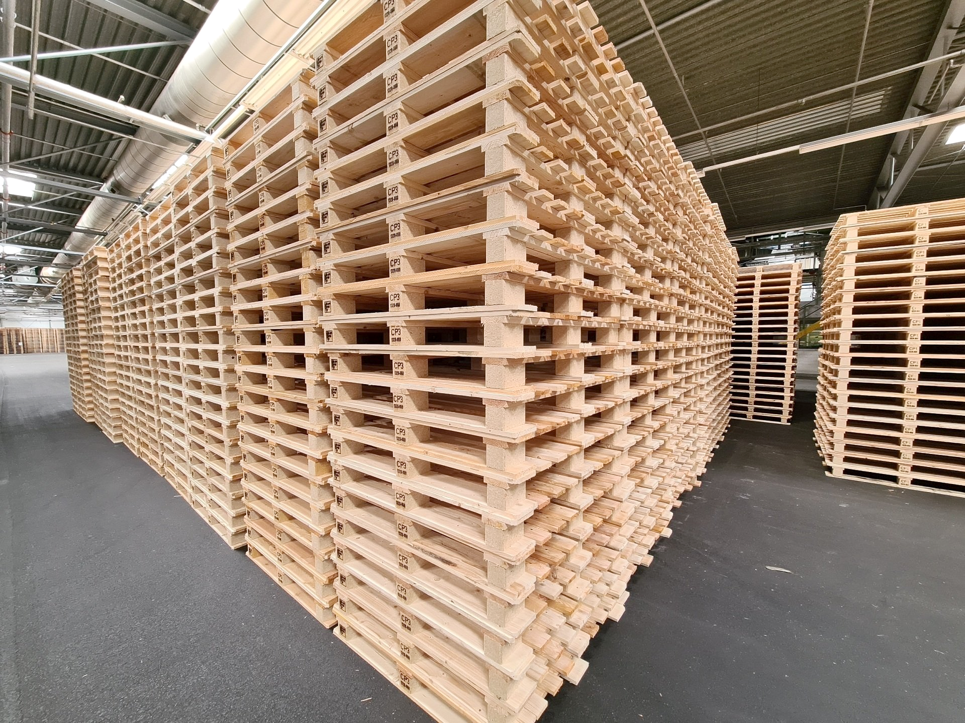 CP3 Paletten HASE