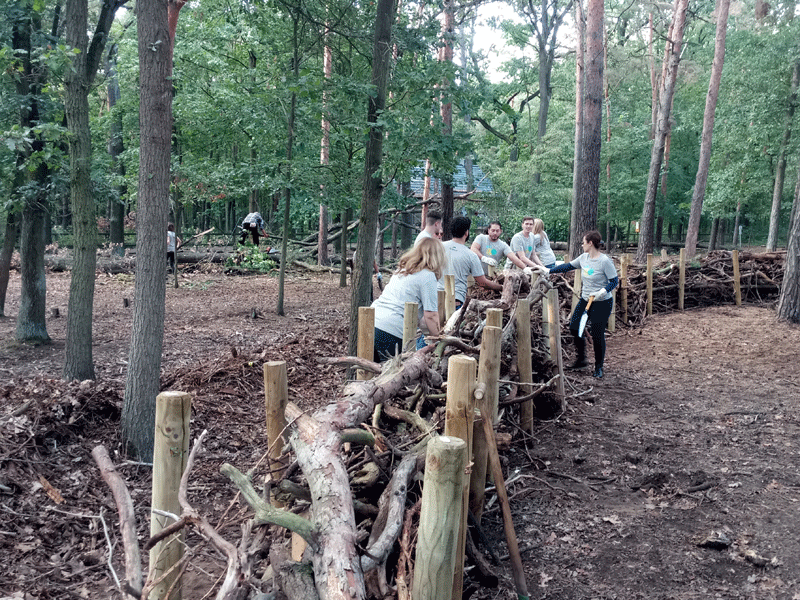 GoGreen Events Berlin Brandenburg