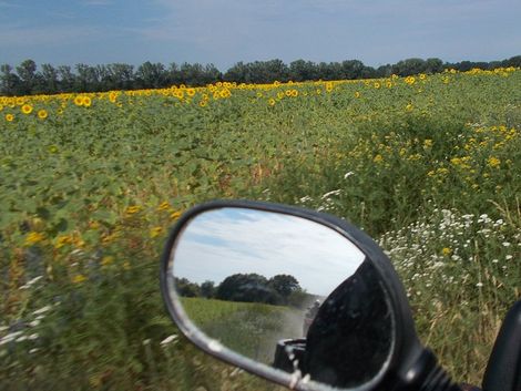 Große Landschaftstour Quad fahren Berlin Brandenburg