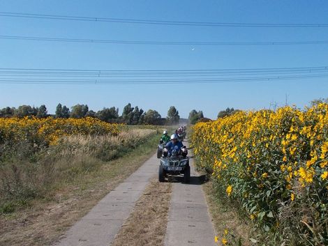 Spargel Quad Tour Spargel essen Berlin Brandenburg