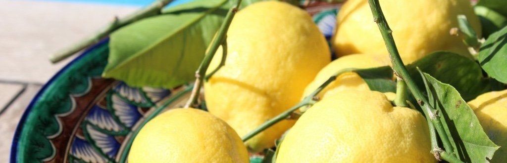 Zitronenernte Frische Zitronen mit Laub auf bunter Schale Ernte