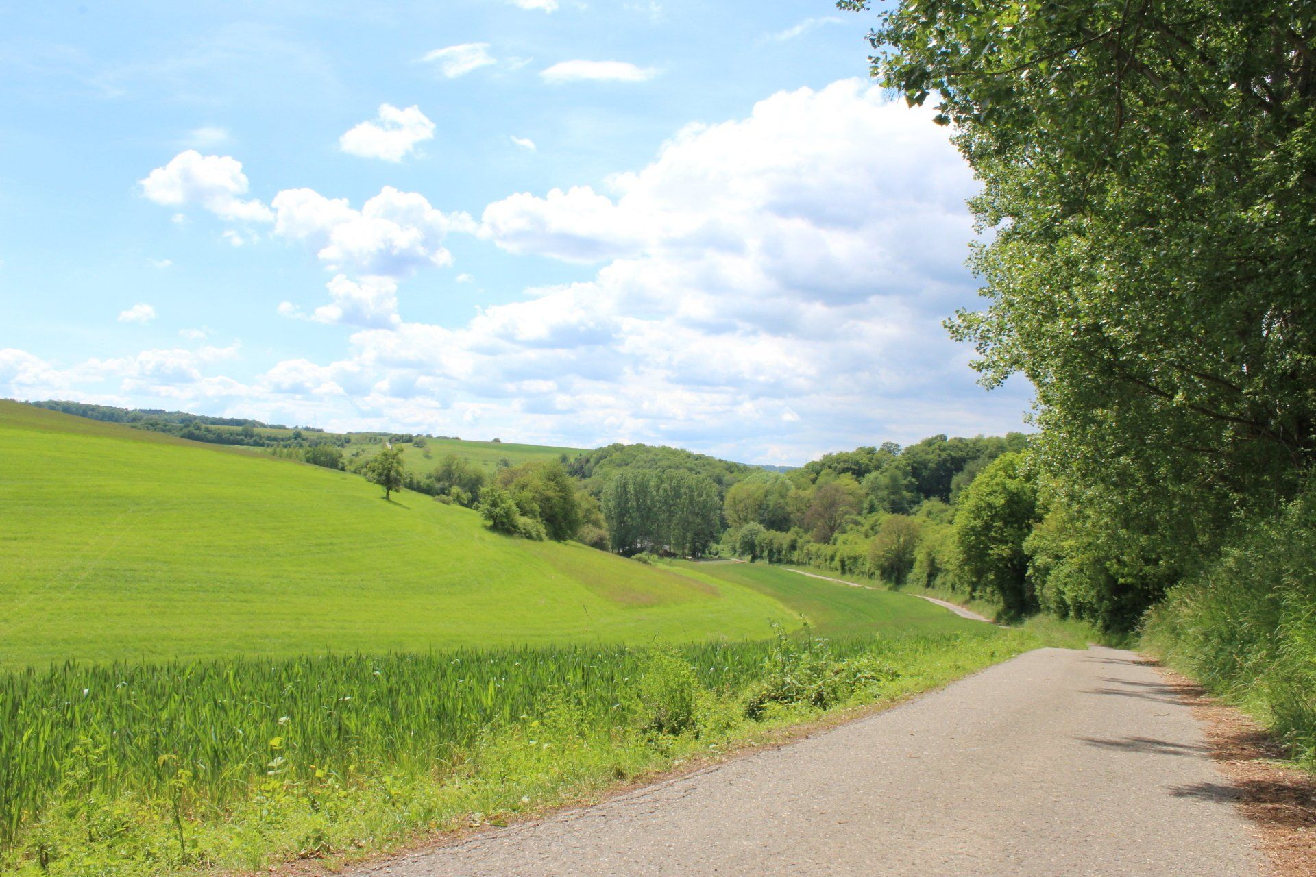 Freundliche Landschaft Himmel blau, frisches Grün, Weg, Bäume
