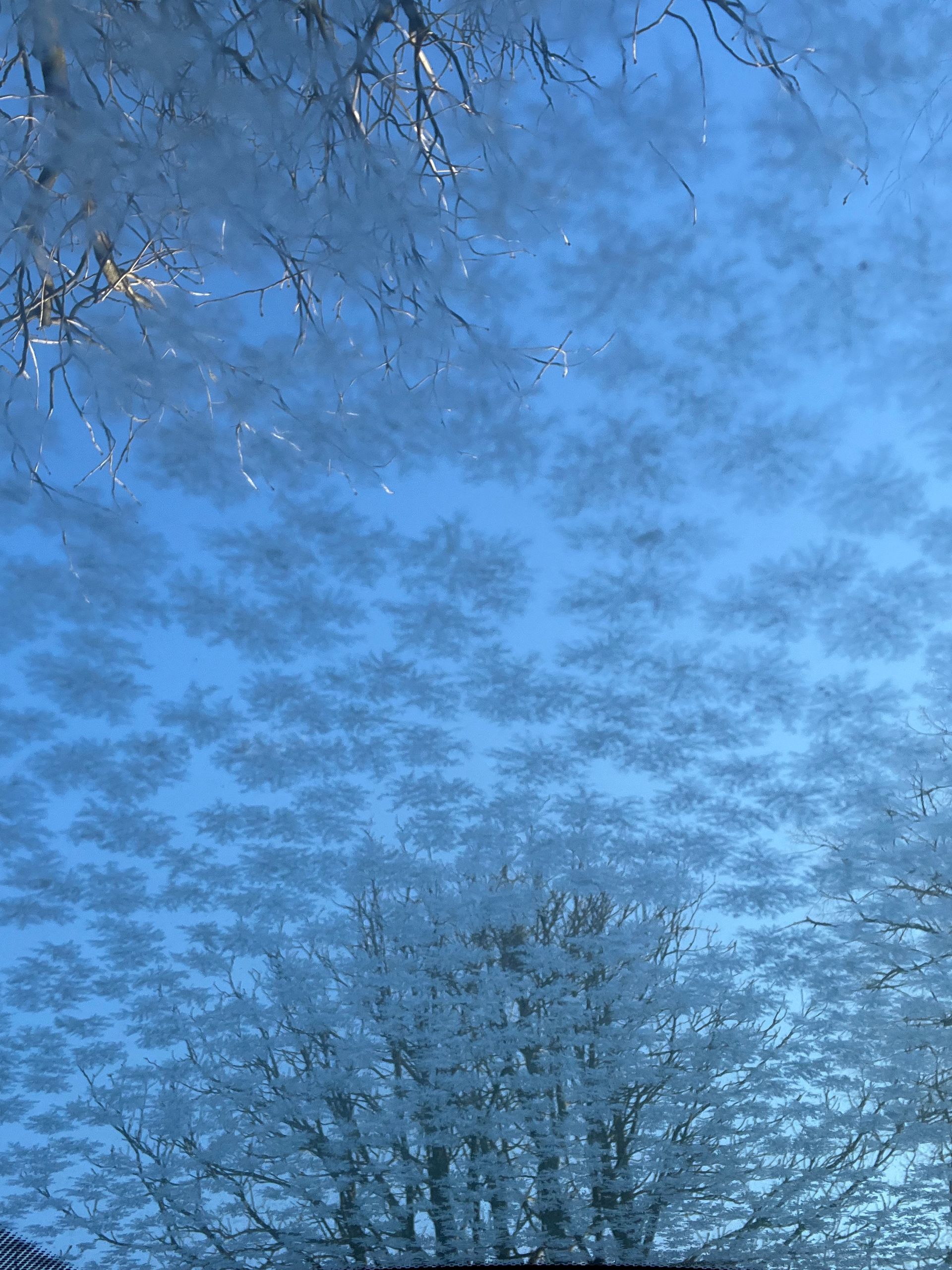 Eiskristalle, dahinter blauer Himmel und Baumspitzen in denen Sonnenlicht leuchtet