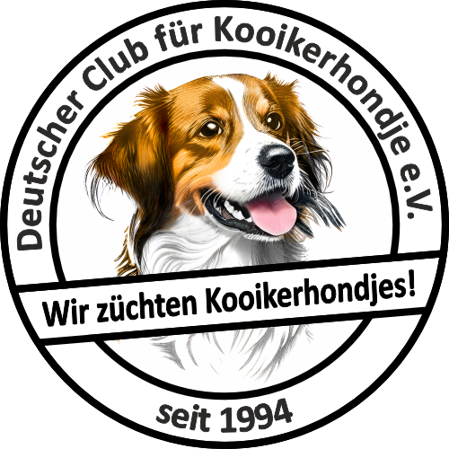 Kooikerhondje von der Bernsteinquelle