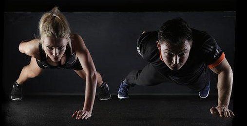 Insekten essen bietet einen hohen Proteingehalt