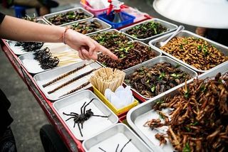 Insekten essen Thailand Marktstand