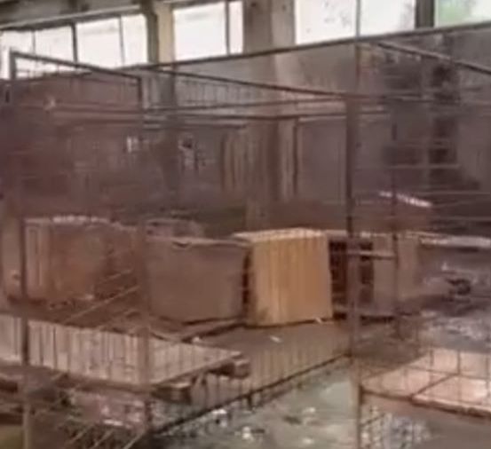 Bitte Bild anklicken, Link zu Video öffent sich