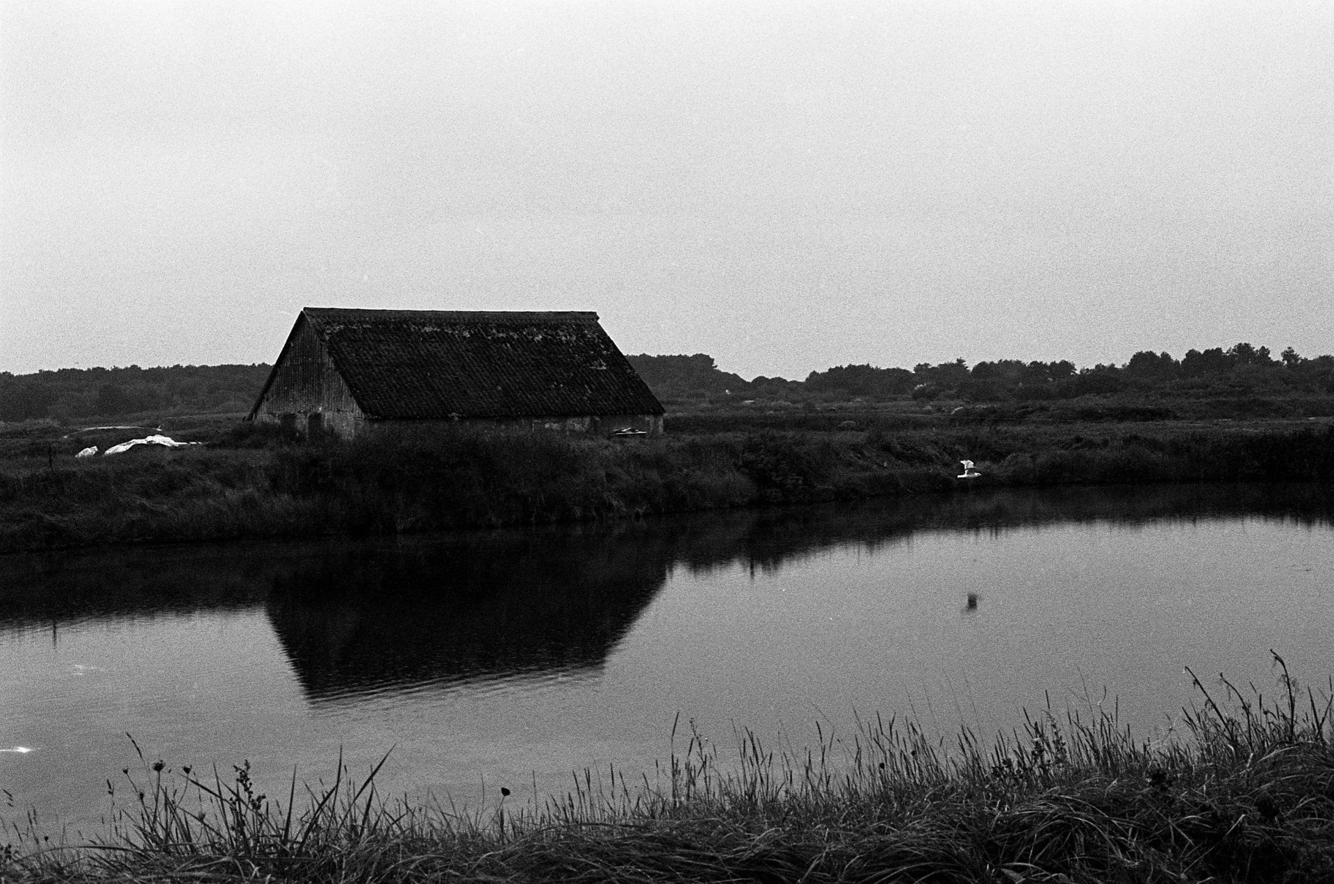 Dalia's first dream © Pauline Alioua