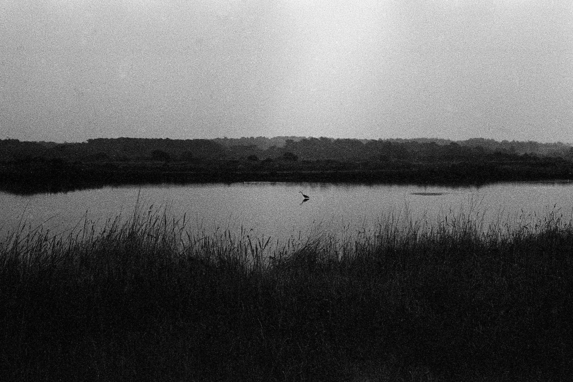 Dalia's first dream © Pauline Alioua