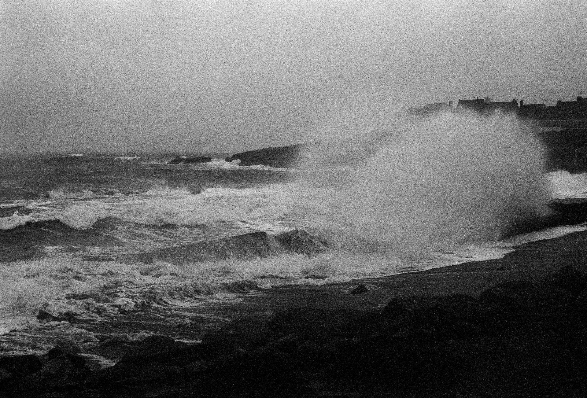 Dalia's first dream © Pauline Alioua