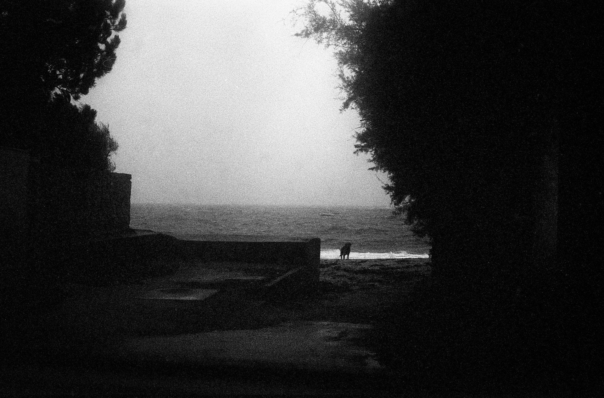 Dalia's first dream © Pauline Alioua