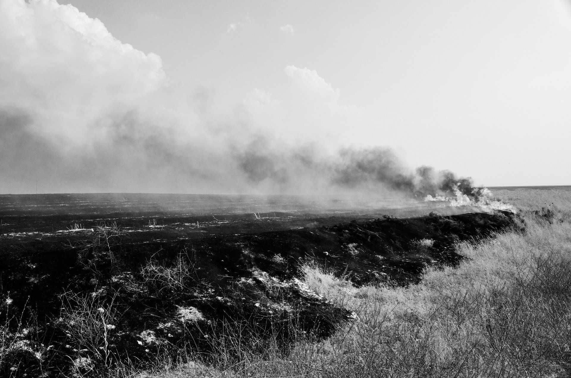 Pauline Alioua Phantomatic // Nowhere to be seen