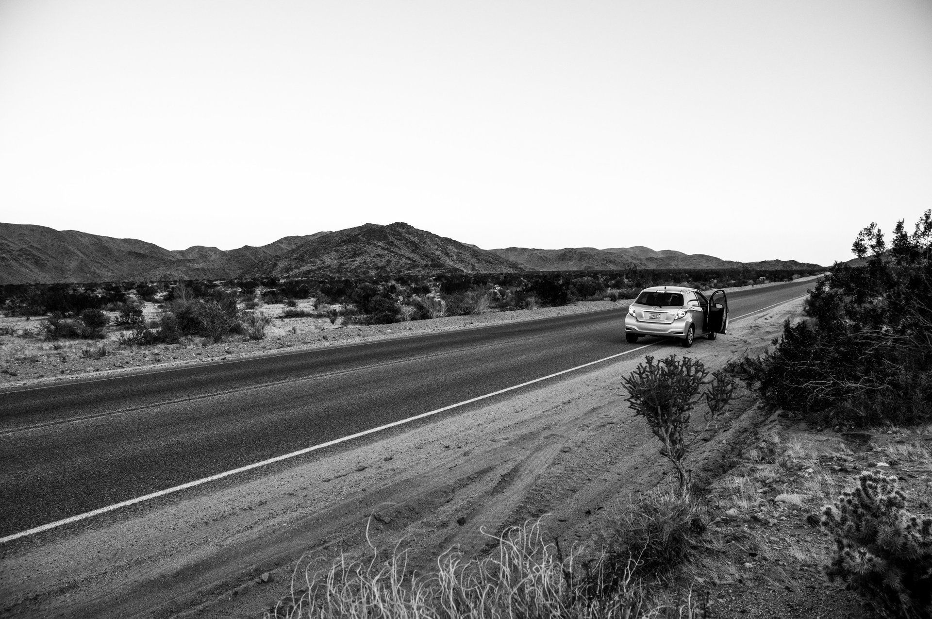 Pauline Alioua Phantomatic // Nowhere to be seen