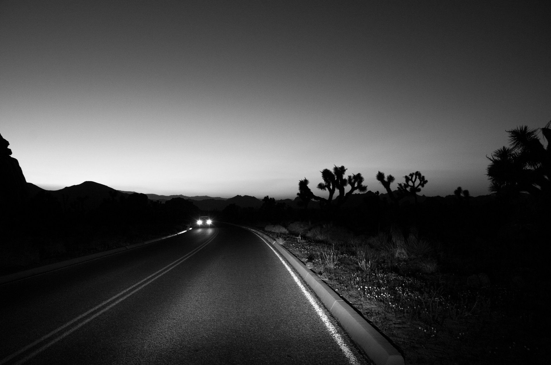 Pauline Alioua Phantomatic // Nowhere to be seen