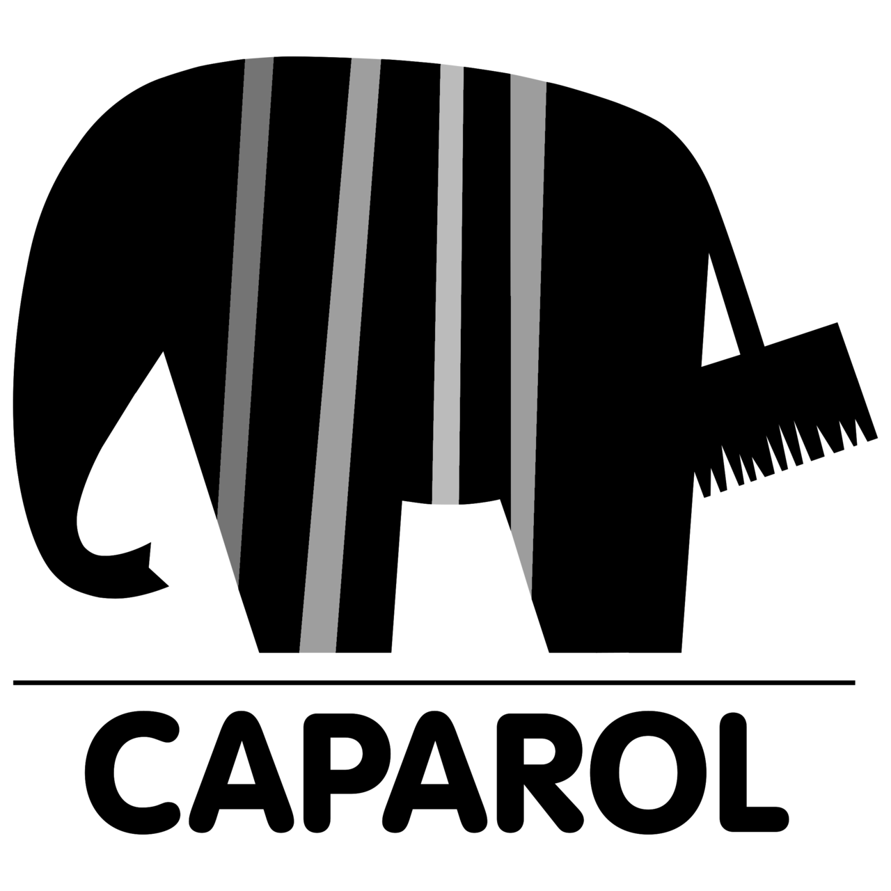 Logo Caparol
