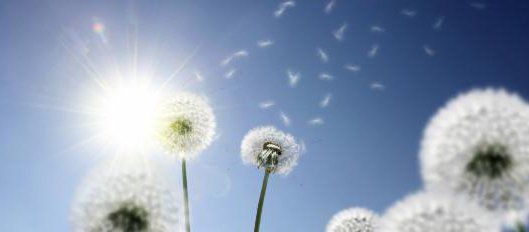 Leicht & Sinnvv-logo