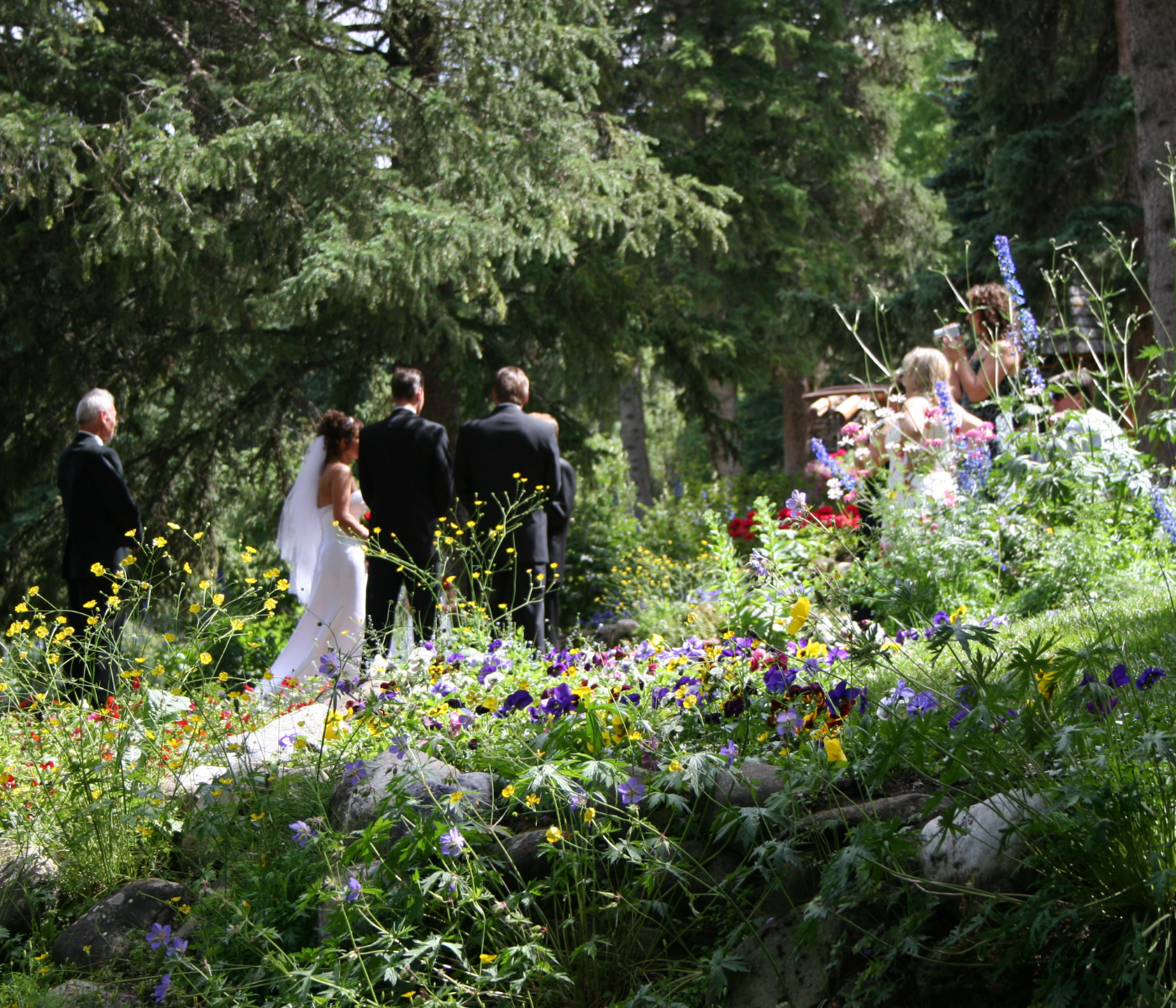 micro wedding outside in a garden in front of trees