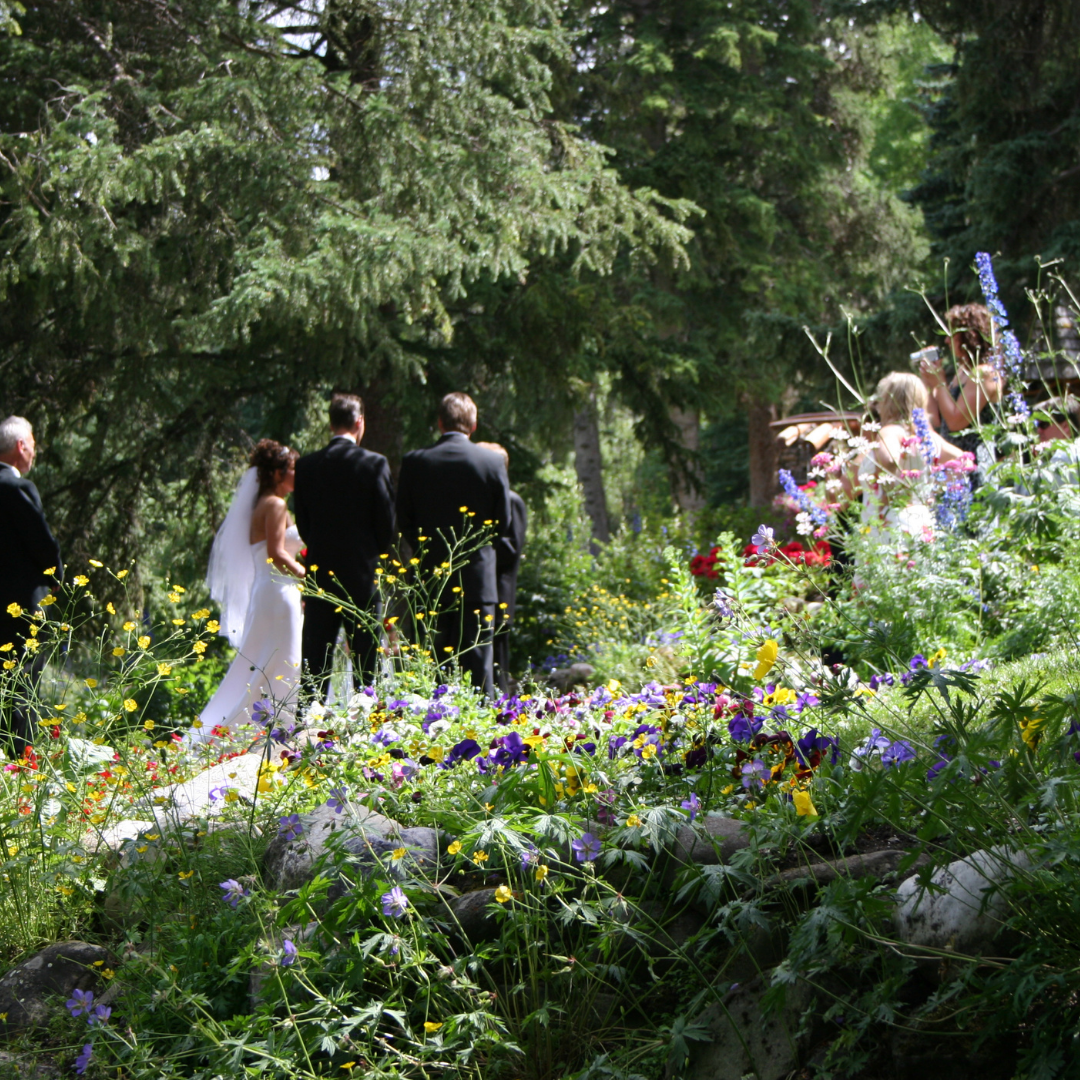 Outdoor wedding ceremony on a flower covered bank in front of tall christmas trees