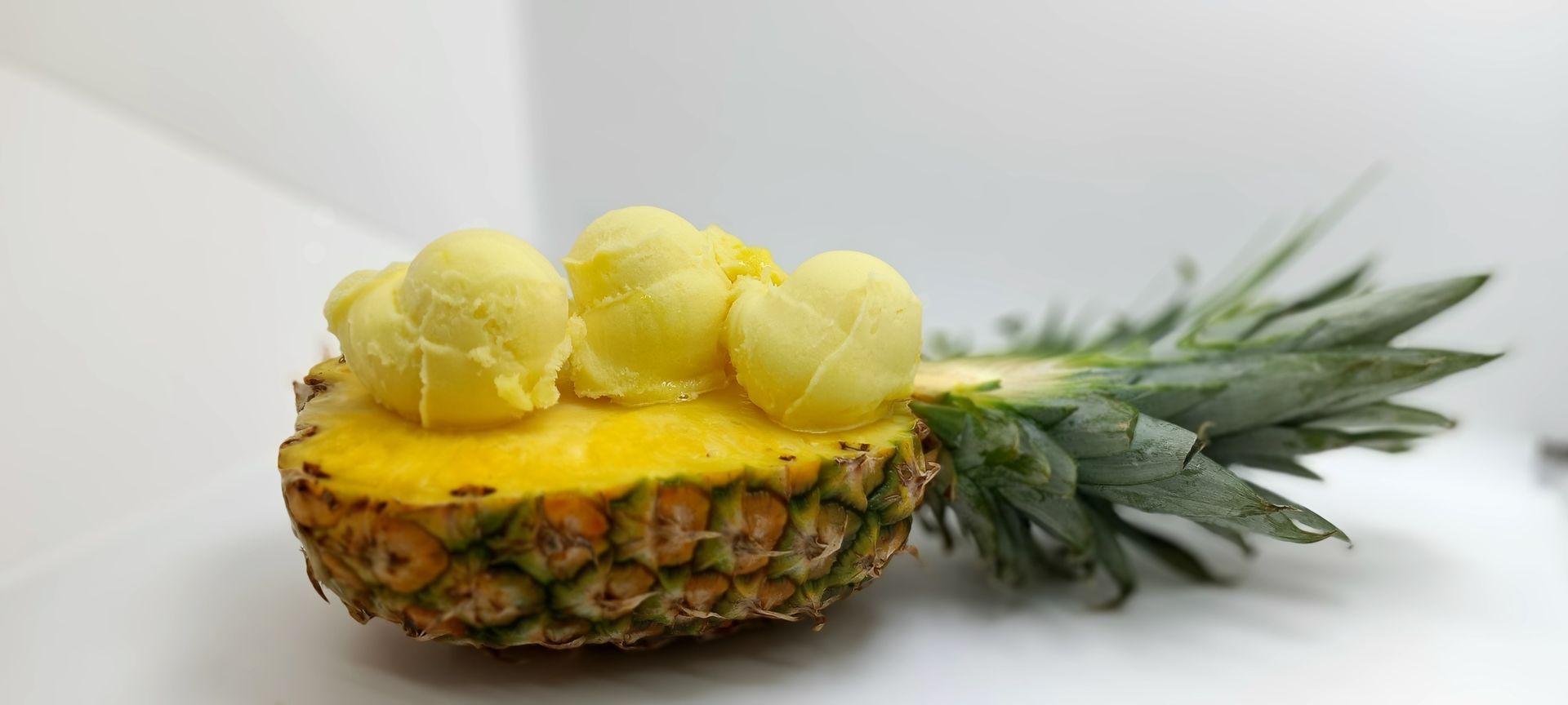 Bindemittel Eisbasen Fruchtbasen, Vegane Bindemittel, rein pflanzliche Bindemittel, natürliche Bindemittel, Bindemittel ohne Emulgator, Bindemittel mit Emulgator, Eisbasis, Milchbasis , Fruchtbasis