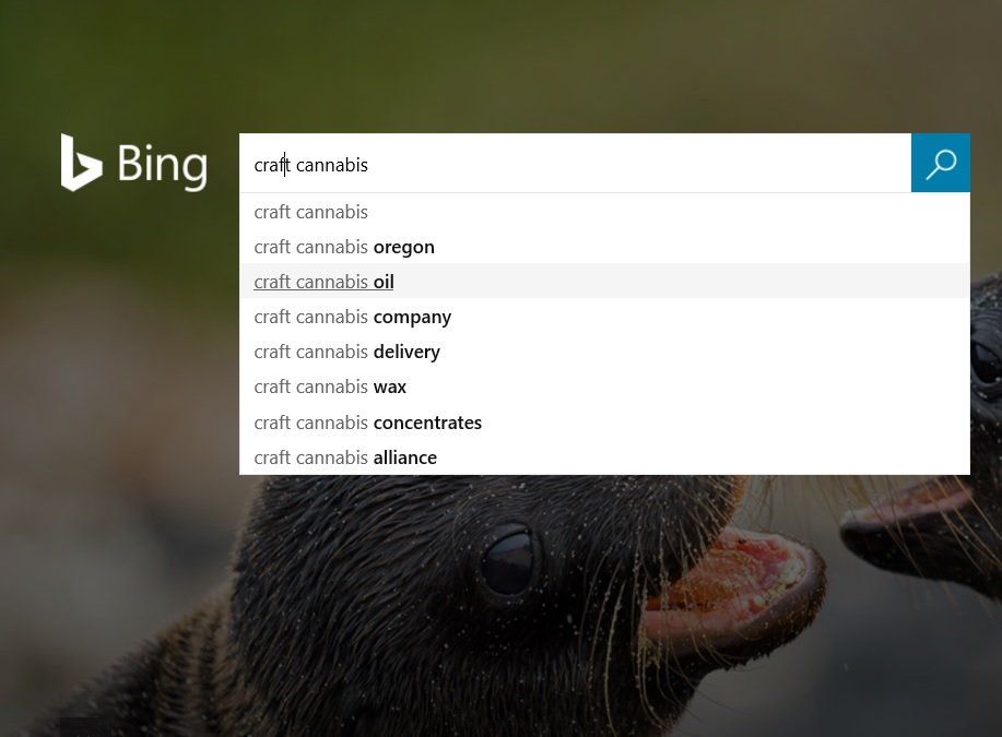 cannabis dispensary seo expert