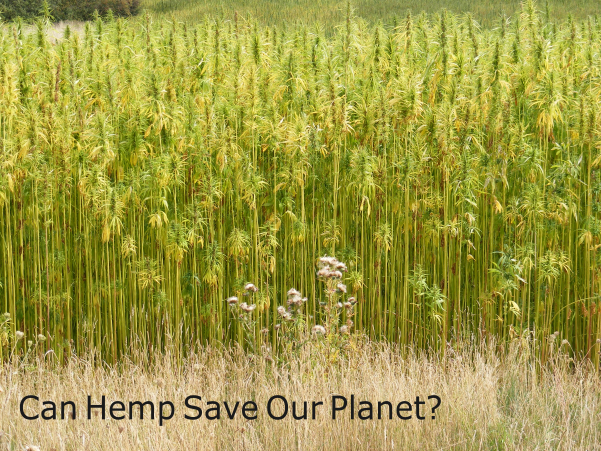 Can Hemp Save Our Planet