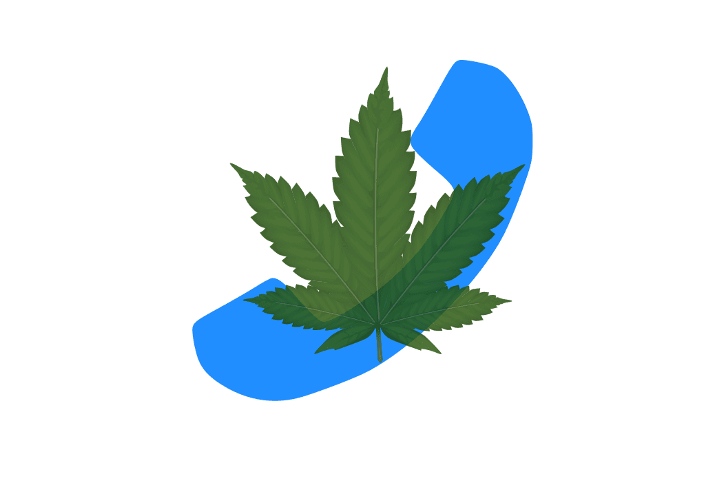 cannabis consulting company