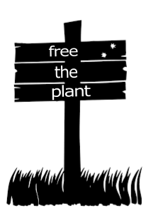 cannabis advocacy groups