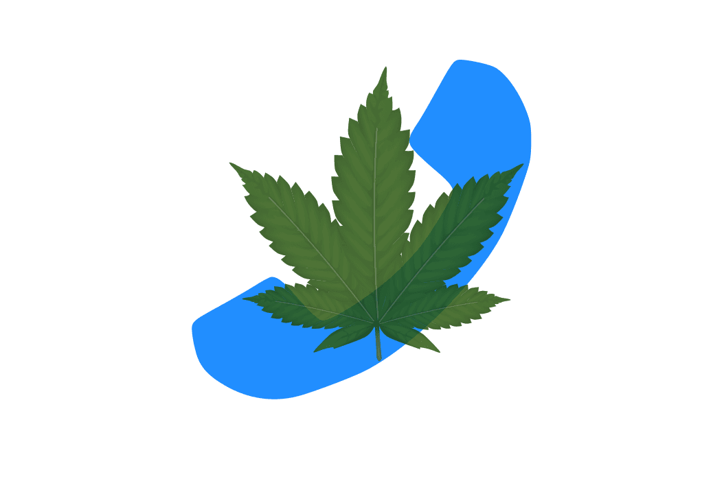 cannabis seo consultant