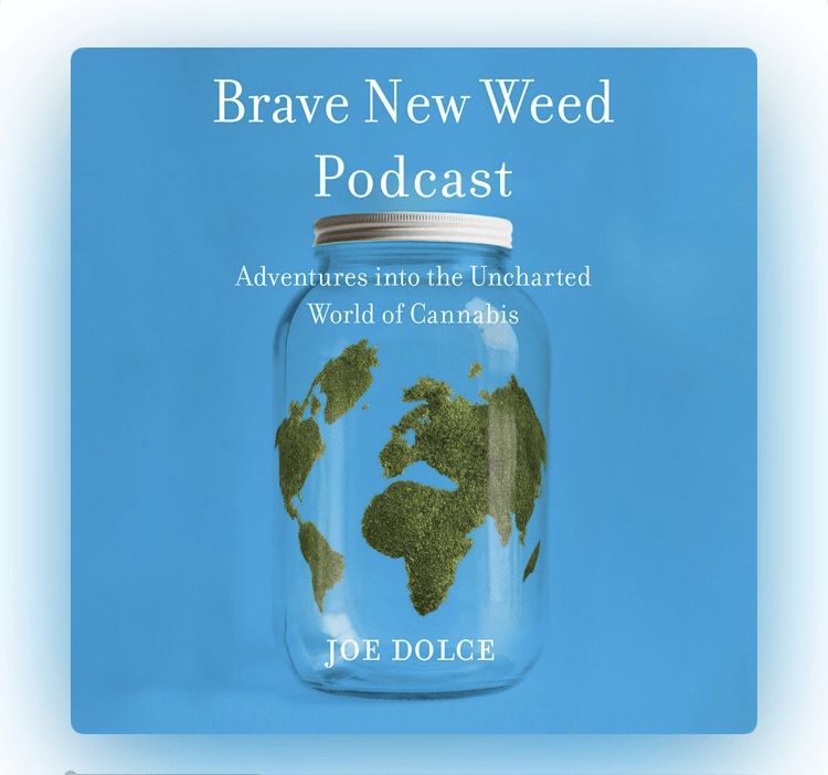 podcast cannabis brave new weed joe dolce