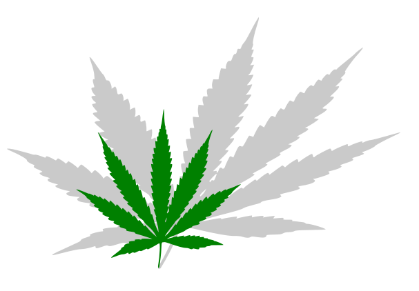 Cannabis Marketing Problems Shadow Ban