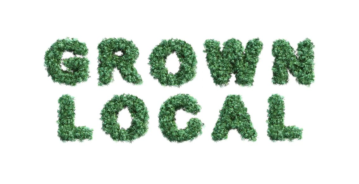 best cannabid podcast seo