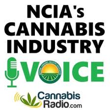 podcast seo cannabis industry voice ncia