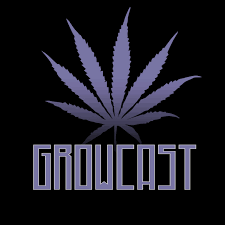 podcast seo for cannabis growcast cultivation expert
