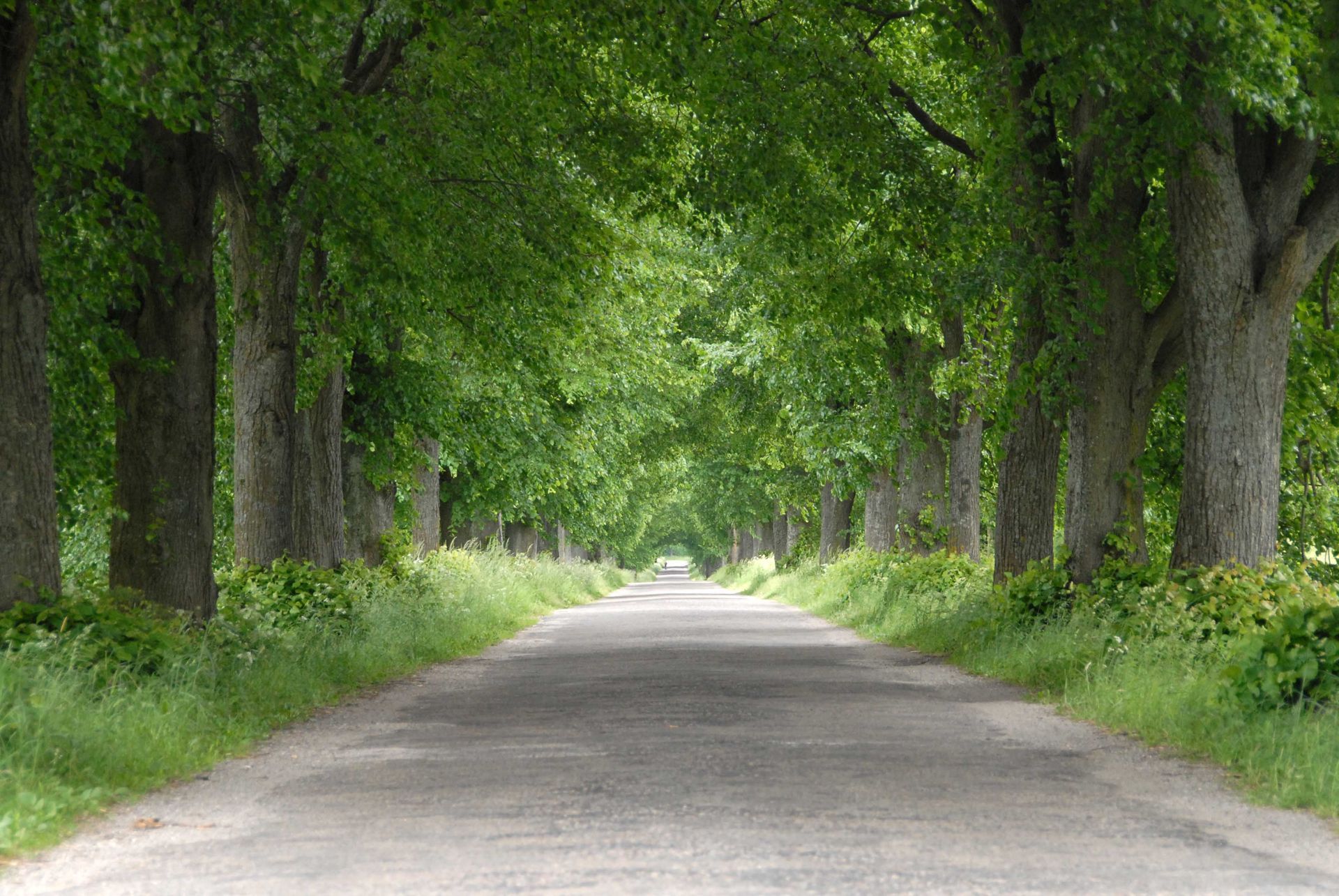 Foto: Manfred Hagemann