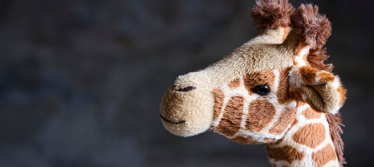 Das Projekt Giraffentraum für Erzieher*innen und Kinder