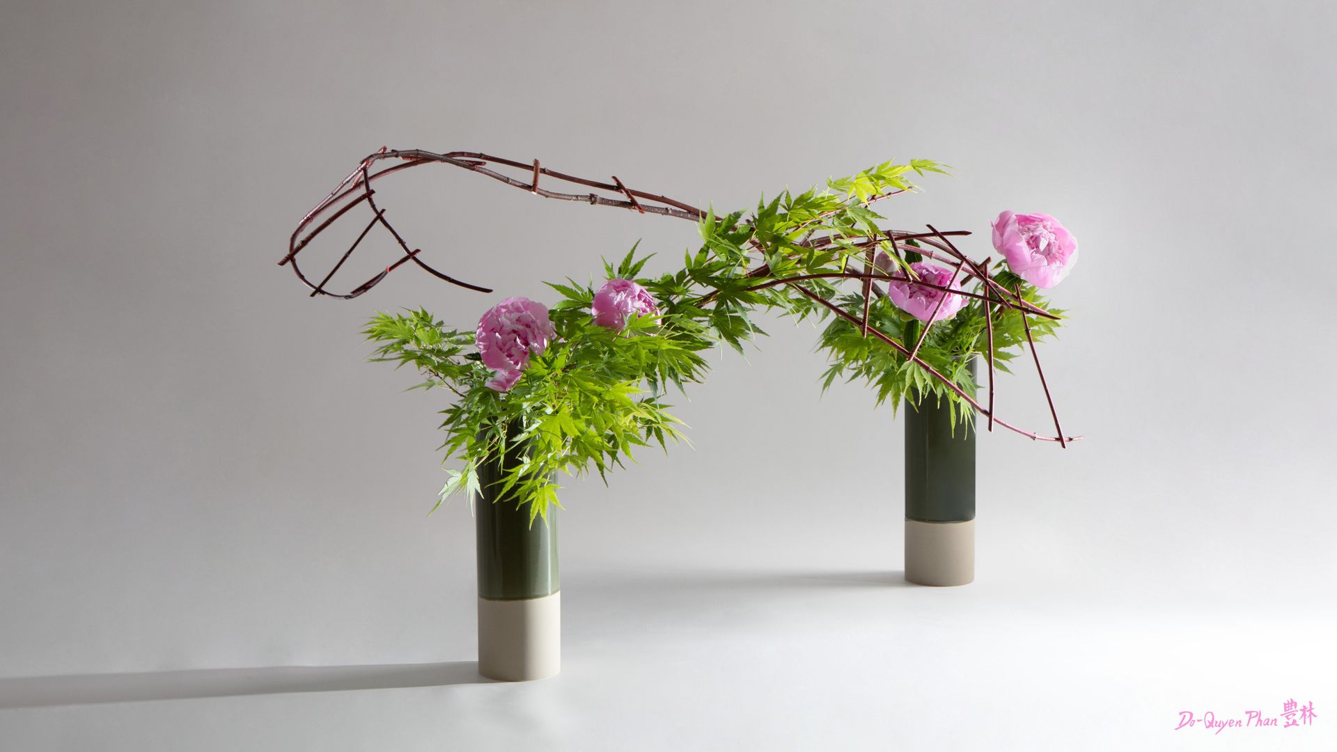 Nicole DINEUR (RIJI)