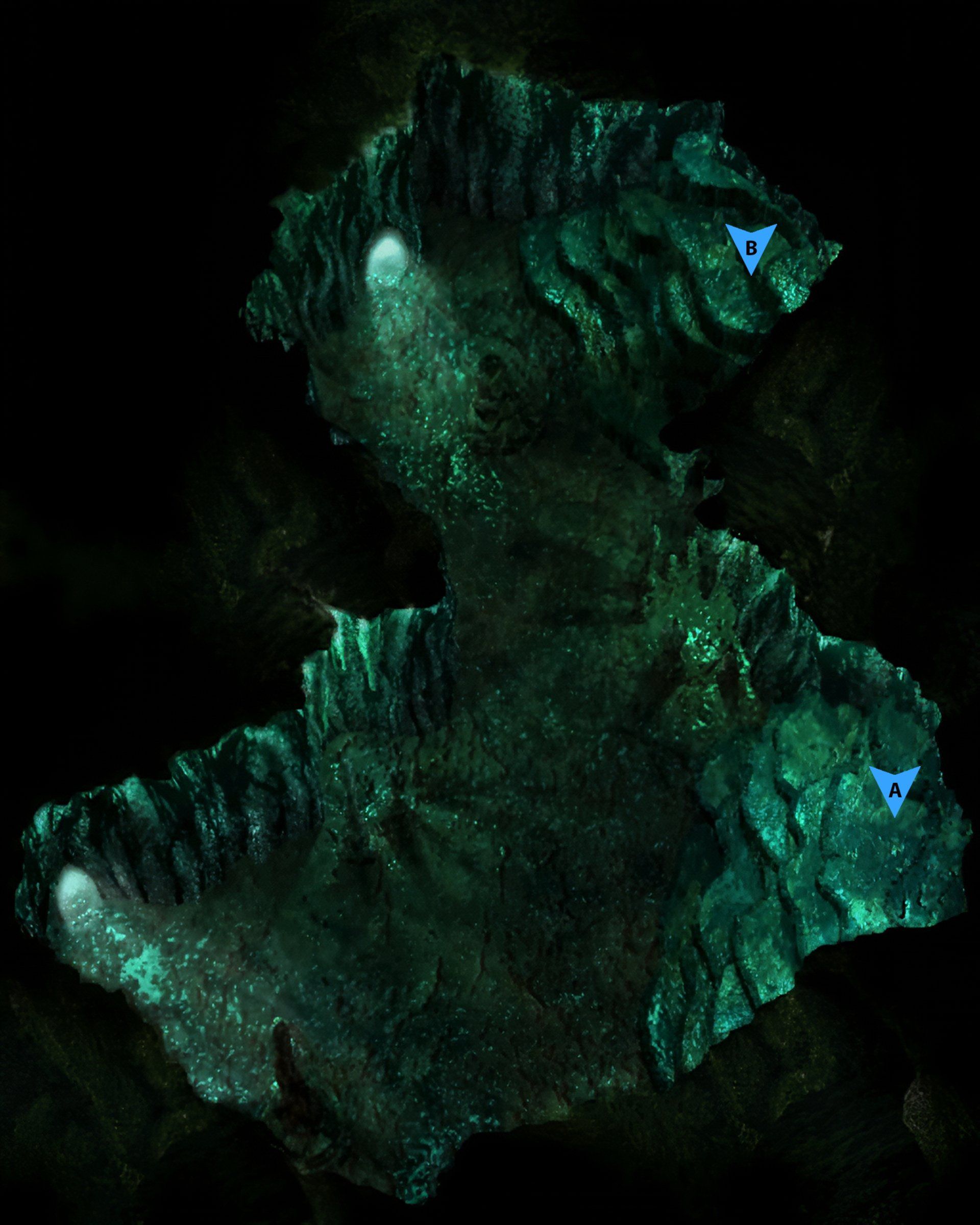 FF7 Ancient Forest Area 4