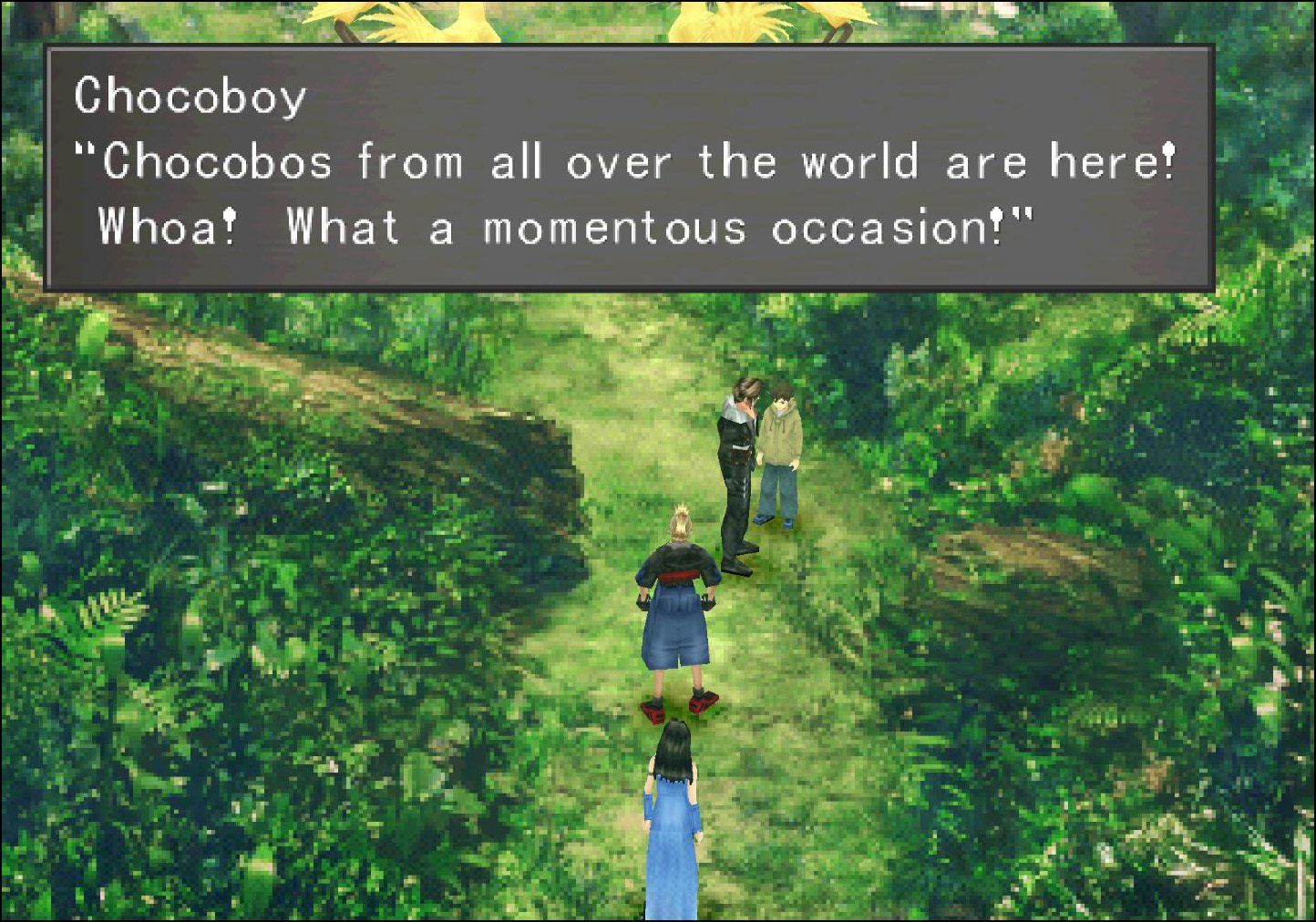 Chocobo Sanctuary Chocoboy