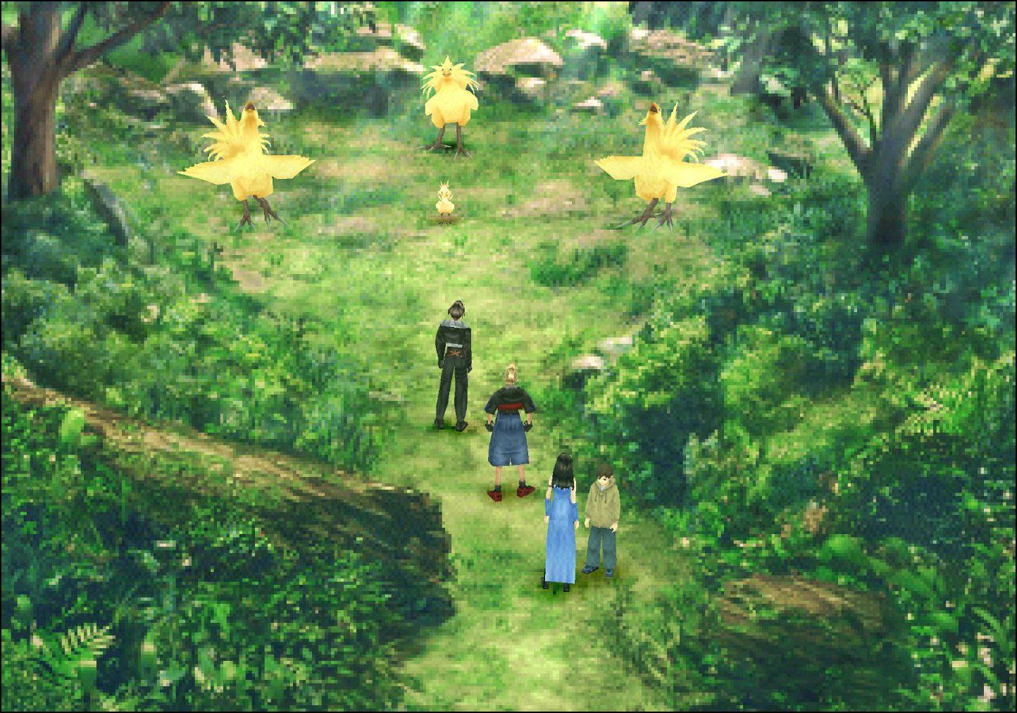 Chocobo Sanctuary Chocobo Dance