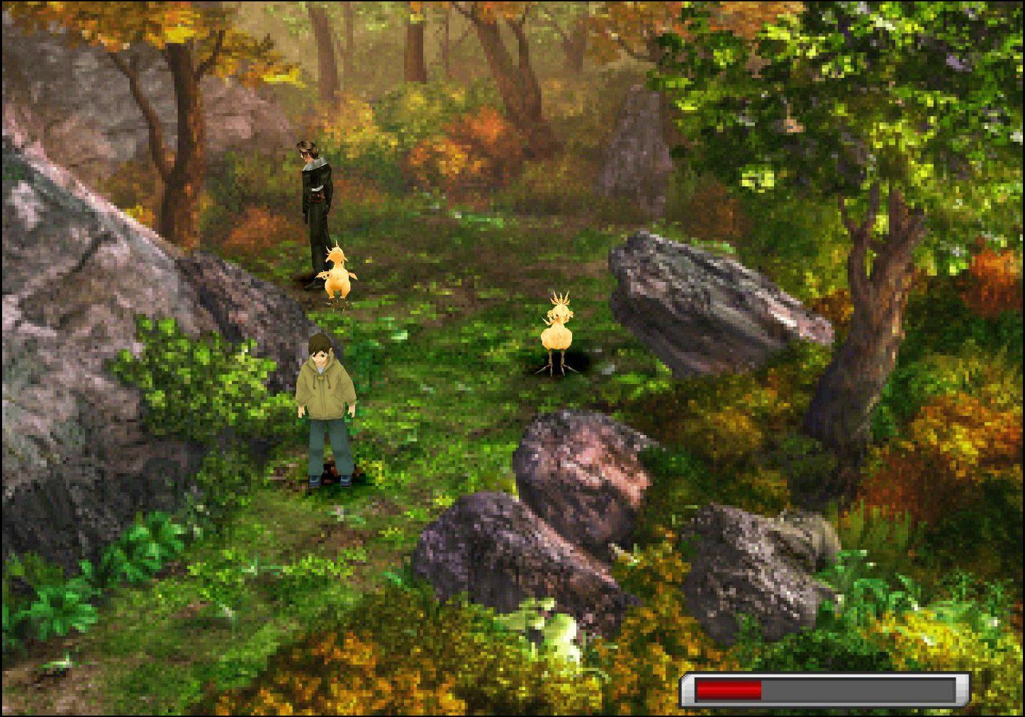 Enclosed Forest location 2